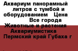 Аквариум панорамный 60 литров с тумбой и оборудованием › Цена ­ 6 000 - Все города Животные и растения » Аквариумистика   . Пермский край,Губаха г.
